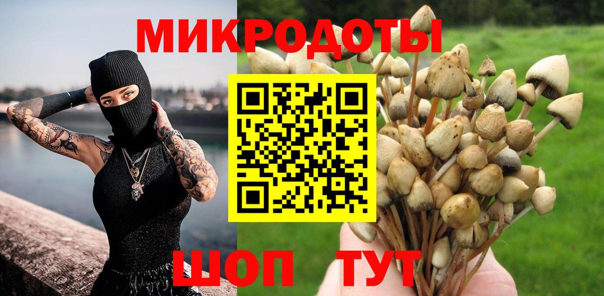 купить наркотики сайты  Вход с VPN  Георгиевск  Галлюциногенные грибы Cubensis 