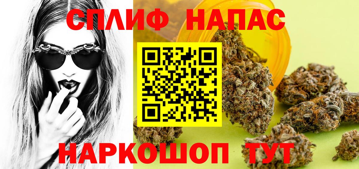 Каннабис семена  Вход с VPN  Конопля планчик  Георгиевск  Конопля VHQ  Бошки Шишки семена 